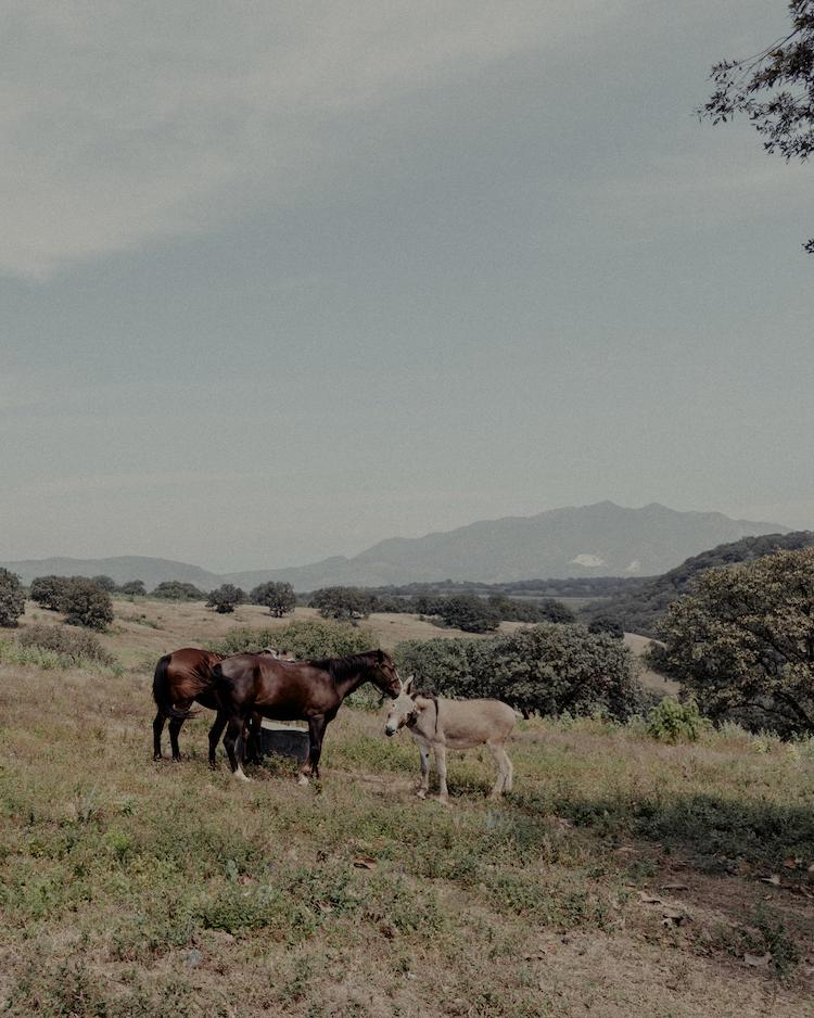 Vista a las montañas