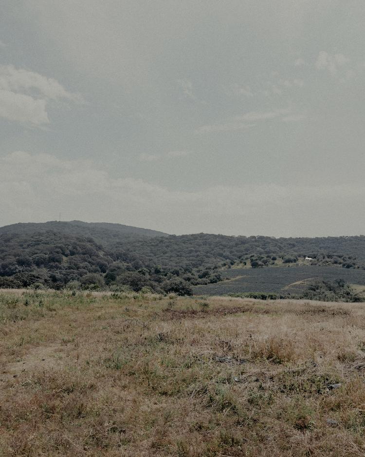 Vista a las montaña